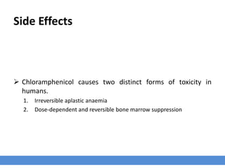 Side Effects
 Chloramphenicol causes two distinct forms of toxicity in
humans.
1. Irreversible aplastic anaemia
2. Dose-dependent and reversible bone marrow suppression
 