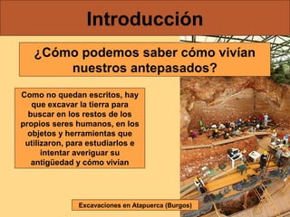 Introducción
   ¿Cómo podemos saber cómo vivían
       nuestros antepasados?
Como no quedan escritos, hay
   que excavar la tierra para
  buscar en los restos de los
propios seres humanos, en los
  objetos y herramientas que
 utilizaron, para estudiarlos e
      intentar averiguar su
   antigüedad y cómo vivían




               Excavaciones en Atapuerca (Burgos)
 