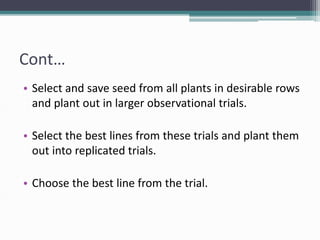 Cont…
• Select and save seed from all plants in desirable rows
and plant out in larger observational trials.
• Select the best lines from these trials and plant them
out into replicated trials.
• Choose the best line from the trial.
 