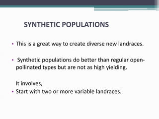 SYNTHETIC POPULATIONS
• This is a great way to create diverse new landraces.
• Synthetic populations do better than regular open-
pollinated types but are not as high yielding.
It involves,
• Start with two or more variable landraces.
 