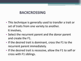 BACKCROSSING
• This technique is generally used to transfer a trait or
set of traits from one variety to another.
It involves,
• Select the recurrent parent and the donor parent
and create the F1.
• If the desired trait is dominant, cross the F1 to the
recurrent parent immediately.
• If the desired trait is recessive, allow the F1 to self or
cross with F1 siblings.
 