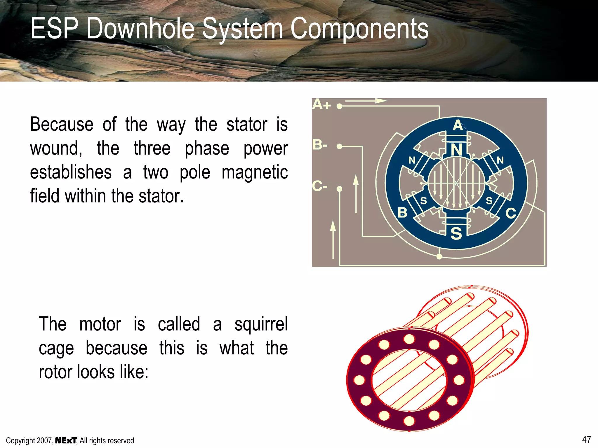 Copyright 2007, , All rights reserved 47
ESP Downhole System Components
Because of the way the stator is
wound, the three phase power
establishes a two pole magnetic
field within the stator.
The motor is called a squirrel
cage because this is what the
rotor looks like:
 