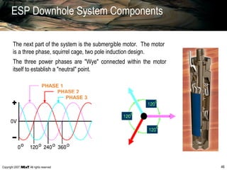 Copyright 2007, , All rights reserved 46
ESP Downhole System Components
The next part of the system is the submergible motor. The motor
is a three phase, squirrel cage, two pole induction design.
PHASE 2
PHASE 3
PHASE 1
The three power phases are "Wye" connected within the motor
itself to establish a "neutral" point.
 