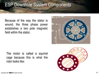 Copyright 2007, , All rights reserved 47
ESP Downhole System Components
Because of the way the stator is
wound, the three phase power
establishes a two pole magnetic
field within the stator.
The motor is called a squirrel
cage because this is what the
rotor looks like:
 