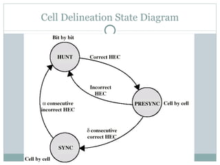 Cell Delineation State Diagram 