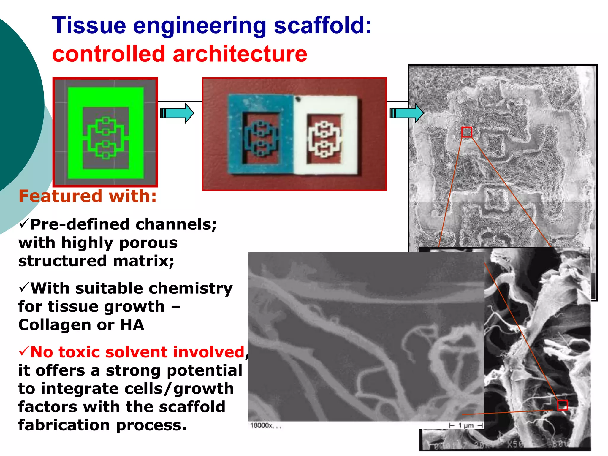 Tissue engineering scaffold:
controlled architecture

Featured with:
Pre-defined channels;
with highly porous
structured matrix;
With suitable chemistry
for tissue growth –
Collagen or HA
No toxic solvent involved,
it offers a strong potential
to integrate cells/growth
factors with the scaffold
fabrication process.

 
