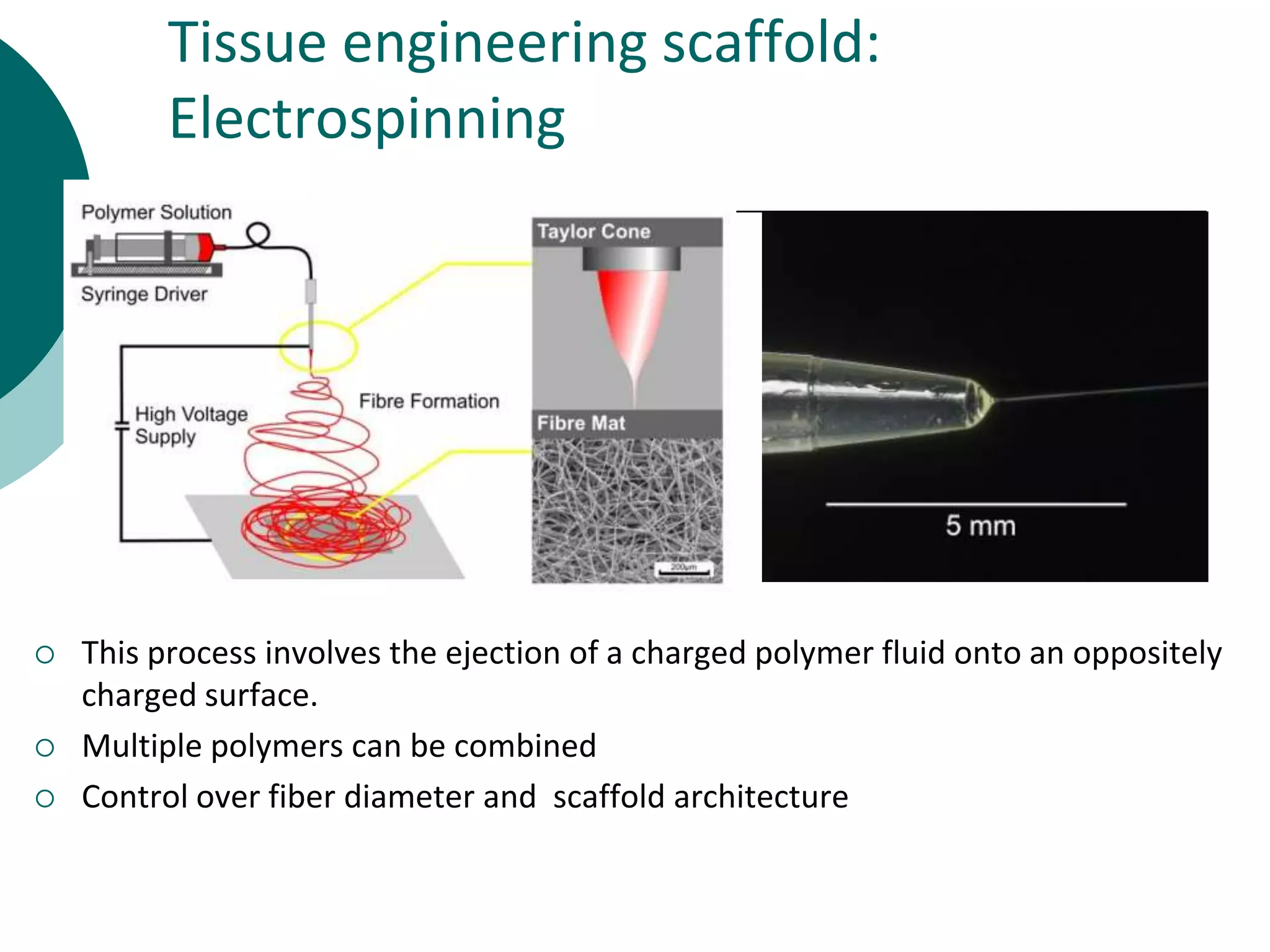 Tissue engineering scaffold:
Electrospinning






This process involves the ejection of a charged polymer fluid onto an oppositely
charged surface.
Multiple polymers can be combined
Control over fiber diameter and scaffold architecture

 
