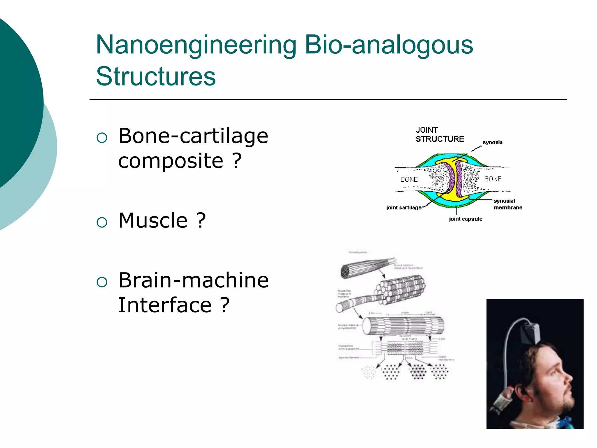 Nanoengineering Bio-analogous
Structures






Bone-cartilage
composite ?
Muscle ?

Brain-machine
Interface ?

 