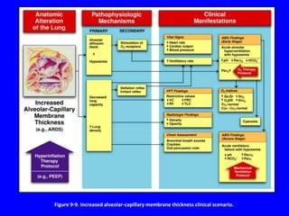 Figure 9-9. Increased alveolar-capillary membrane thickness clinical scenario.
 