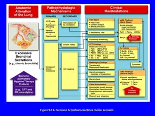 Figure 9-11. Excessive bronchial secretions clinical scenario.
 