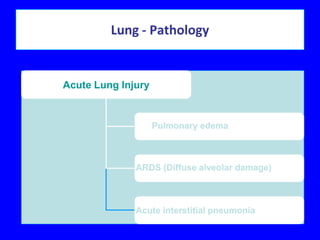 Lung - Pathology


Acute Lung Injury


                    Pulmonary edema



              ARDS (Diffuse alveolar damage)



              Acute interstitial pneumonia
 