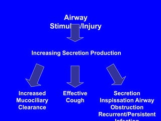 Airway
              Stimulus/Injury


     Increasing Secretion Production




Increased        Effective        Secretion
Mucociliary       Cough      Inspissation Airway
Clearance                        Obstruction
                             Recurrent/Persistent
 