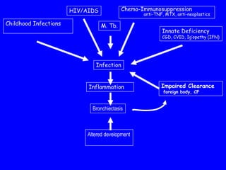 HIV/AIDS            Chemo-Immunosuppression
                                                  anti-TNF, MTX, anti-neoplastics

Childhood Infections              M. Tb.
                                                          Innate Deficiency
                                                          CGD, CVID, Ig’opathy (IFN)




                               Infection


                            Inflammation                  Impaired Clearance
                                                           foreign body, CF


                              Bronchiectasis



                            Altered development
 