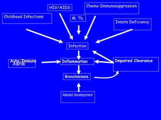 HIV/AIDS            Chemo-Immunosuppression

Childhood Infections              M. Tb.
                                                        Innate Deficiency




                               Infection


   Auto-Immune             Inflammation                 Impaired Clearance
    ABPM

                             Bronchiectasis



                            Altered development
 