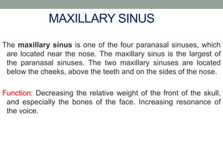 Ca Maxilla - Radiation Therapy | PPTX