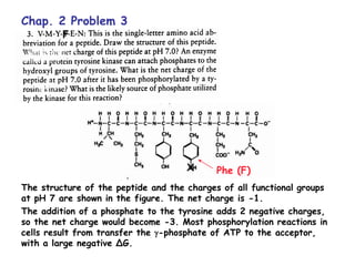Chap. 2 Problem 3
The structure of the peptide and the charges of all functional groups
at pH 7 are shown in the figure. The net charge is -1.
The addition of a phosphate to the tyrosine adds 2 negative charges,
so the net charge would become -3. Most phosphorylation reactions in
cells result from transfer the -phosphate of ATP to the acceptor,
with a large negative ∆G.
F
X Phe (F)
 