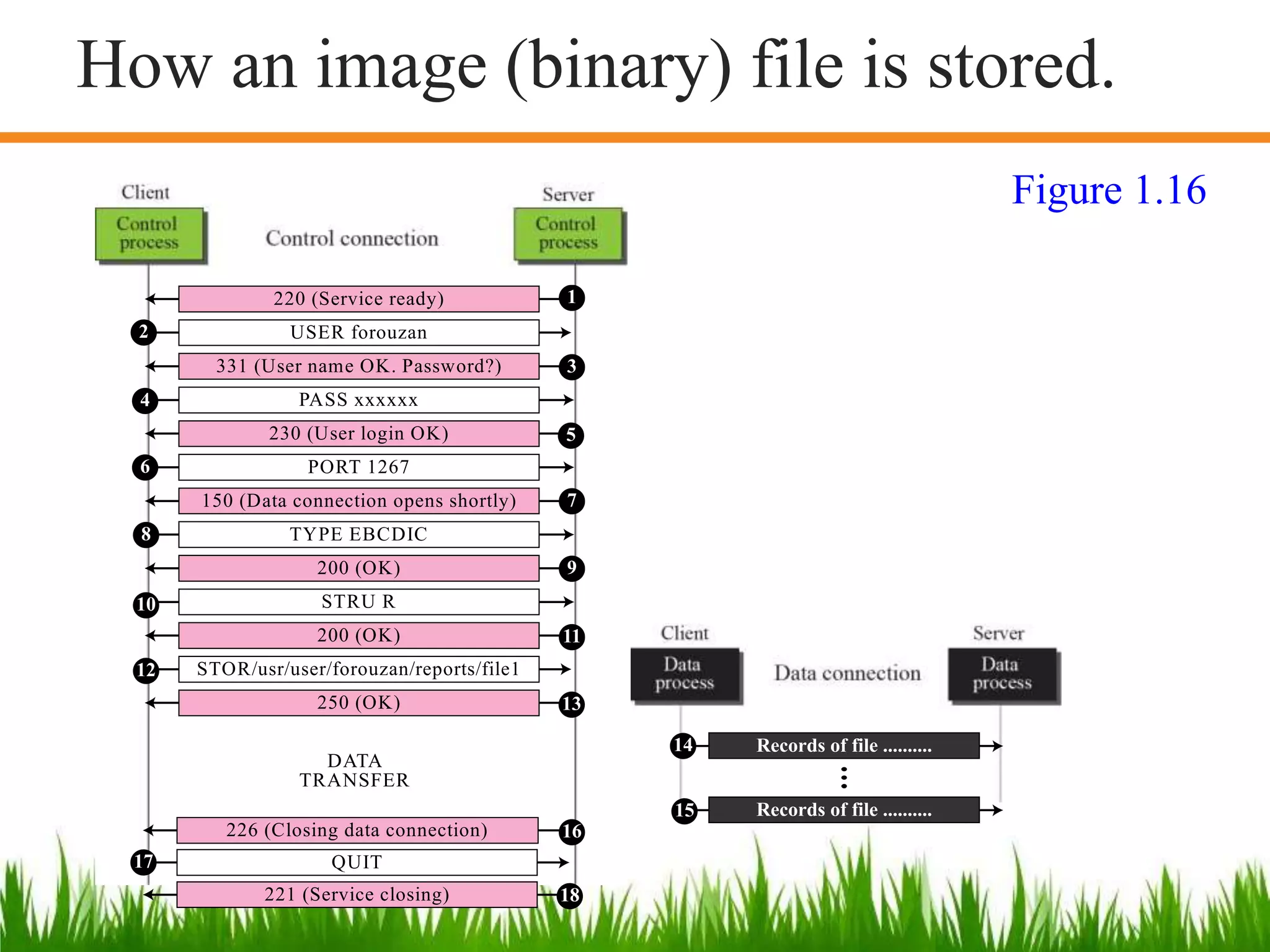 220 (Service ready)
USER forouzan
TYPE EBCDIC
STRU R
STOR/usr/user/forouzan/reports/file1
PASS xxxxxx
200 (OK)
200 (OK)
250 (OK)
331 (User name OK. Password?)
PORT 1267
150 (Data connection opens shortly)
230 (User login OK)
1
2
3
4
5
6
7
8
9
10
11
12
13
DATA
TRANSFER
Records of file ..........
Records of file ..........15
14
QUIT
226 (Closing data connection)
221 (Service closing)
16
17
18
Figure 1.16
How an image (binary) file is stored.
 