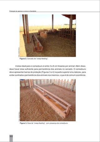 302
Figura 2. Cercado de “creep-feeding”.
A área ideal para o comedouro é entre 3 e 8 cm lineares por animal. Além disso,
deve haver área suficiente para permanência dos animais no cercado. O comedouro
deve apresentar barras de proteção (Figuras 3 e 4) na parte superior e/ou laterais, para
evitar a entrada e permanência dos animais nos mesmos, o que é de comum ocorrência.
Figura 3. Área de “creep-feeding” com presença de comedouro.
Foto:CamilaÍtavoFoto:CamilaÍtavo
Produção de caprinos e ovinos no Semiárido
 