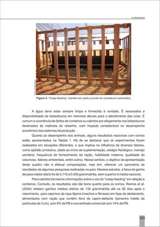 3303
Figura 4. “Creep-feeding” mantido em pasto provido de comedouro automático.
A água deve estar sempre limpa e fornecida à vontade. É necessária a
disponibilidade de bebedouros em menores alturas para o atendimento das crias. É
comum a ocorrência de óbitos de cordeiros ou cabritos por afogamento nos bebedouros
destinados às matrizes do rebanho, com impacto considerável no desempenho
econômico dos sistemas de produção.
Quanto ao desempenho dos animais, alguns resultados nacionais com ovinos
estão apresentados na Tabela 1. Há de se destacar que os experimentos foram
realizados em situações diferentes, o que implica na influência de diversos fatores,
como aptidão produtiva, idade ao início da suplementação, estágio fisiológico, manejo
sanitário, frequência de fornecimento da ração, habilidade materna, qualidade do
volumoso, fatores ambientais, entre outros. Nesse sentido, o objetivo da apresentação
deste quadro não é efetuar comparações, mas sim, oferecer um panorama de
resultados de algumas pesquisas realizadas no país. Nesses estudos, a faixa de ganho
de peso médio diário foi de 0,115 a 0,405 g/animal/dia, bem superior à média nacional.
Para cabritos há menos informações sobre o uso do “creep-feeding” em relação a
cordeiros. Contudo, os resultados são tão bons quanto para os ovinos. Ramos et al.
(2004) relatam ganhos médios diários de 134 g/animal/dia até os 56 dias após o
nascimento, para caprinos da raça Alpina (machos e fêmeas) em fase de aleitamento,
alimentados com ração que contém feno de capim-elefante (tamanho médio de
partículas de 3 cm), com 9% de PB e concentrado comercial com 14% de PB.
Foto:CamilaÍtavo
 