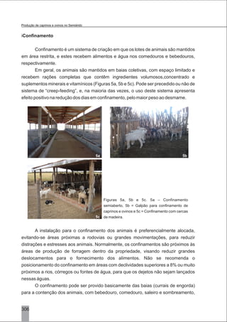 306
iConfinamento
Confinamento é um sistema de criação em que os lotes de animais são mantidos
em área restrita, e estes recebem alimentos e água nos comedouros e bebedouros,
respectivamente.
Em geral, os animais são mantidos em baias coletivas, com espaço limitado e
recebem rações completas que contêm ingredientes volumosos,concentrado e
suplementos minerais e vitamínicos (Figuras 5a, 5b e 5c). Pode ser precedido ou não de
sistema de “creep-feeding”, e, na maioria das vezes, o uso deste sistema apresenta
efeito positivo na redução dos dias em confinamento, pelo maior peso ao desmame.
Figuras 5a, 5b e 5c. 5a – Confinamento
semiaberto, 5b = Galpão para confinamento de
caprinos e ovinos e 5c = Confinamento com cercas
de madeira.
A instalação para o confinamento dos animais é preferencialmente alocada,
evitando-se áreas próximas a rodovias ou grandes movimentações, para reduzir
distrações e estresses aos animais. Normalmente, os confinamentos são próximos às
áreas de produção de forragem dentro da propriedade, visando reduzir grandes
deslocamentos para o fornecimento dos alimentos. Não se recomenda o
posicionamento do confinamento em áreas com declividades superiores a 8% ou muito
próximos a rios, córregos ou fontes de água, para que os dejetos não sejam lançados
nessas águas.
O confinamento pode ser provido basicamente das baias (currais de engorda)
para a contenção dos animais, com bebedouro, comedouro, saleiro e sombreamento,
5a
5c
5b
Produção de caprinos e ovinos no Semiárido
 