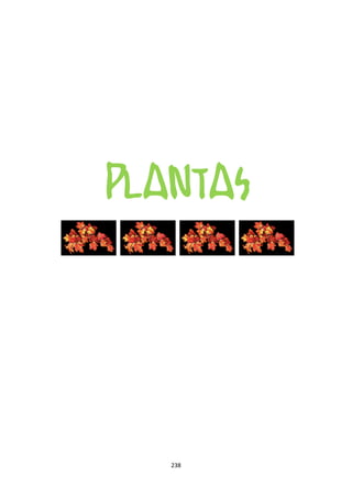 PLANTAS




   238
 