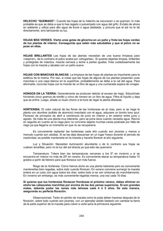HELECHO “QUEMADO”: Cuando las hojas de tu helecho se oscurecen o se queman, lo más
probable es que se deba a que lo has regado o pulverizado con agua del grifo. Evítalo de ahora
en adelante y utiliza para ello agua de lluvia o agua destilada, y procura que el sol no le dé
directamente, sino tamizando su luz.


HOJAS MÁS VERDES. Vierte unas gotas de glicerina en un paño y frota las hojas verdes
de tus plantas de interior. Conseguirás que estén más saludables y que el polvo no se
pose en ellas.


HOJAS BRILLANTES Las hojas de las plantas necesitan de una buena limpieza para
«respirar», de lo contrario el polvo acaba por «ahogarlas». Si quieres dejarlas limpias, brillantes
y protegidas de insectos, mezcla cerveza y leche a partes iguales, frota cuidadosamente las
hojas con la mezcla y sécalas con un paño suave.


HOJAS CON MANCHAS BLANCAS: La limpieza de las hojas de plantas es importante para la
estética de la misma. Por eso, si notas que las hojas de alguna de tus plantas presentan unas
manchas o una capa blanca en la superficie, probablemente se debe a la cal del agua. Para
eliminarla, rocía las hojas con la mezcla de un litro de agua y una cucharada sopera de vinagre.


HONGOS EN LA TIERRA: Generalmente se producen debido al exceso de riego. Soluciónalo
hirviendo cinco gramos de tomillo y cinco de romero en un litro de agua. Filtra el líquido y deja
que se enfríe. Luego, añade un buen chorro a la hora de regar la planta afectada.


HORTENSIA: El color natural de las flores de las hortensias es el rosa, pero si se riega la
planta con alumbre (sulfato de aluminio) mezclado con el agua, adquiere un bonito tono azul.
Florecen de principios de abril a comienzos de junio en interior y en exterior entre junio y
agosto. Se trata de una planta muy tolerante, pero se pone lacia cuando necesita agua. Revive
en seguida en cuanto se la riega pero no conviene dejarla muchas veces postrada por falta de
riego ya que llegaría un momento en que no se recuperaría.

         Es conveniente replantar las hortensias cada año cuando son jóvenes y menos a
menudo cuando son adultas. Si se las deja descansar en un lugar fresco durante el periodo de
inactividad, es posible mantenerla en la maceta y hacerla florecer al año siguiente.

       Luz y Situación: Necesitan iluminación abundante o de lo contrario sus hojas se
vuelven amarillas, pero no la luz del sol directa ya que esto las quemaría

       Temperatura: Tolera bien las temperaturas cercanas a los 5º en invierno y si se
encuentra en interior no más de 20º en verano. Es conveniente elevar su temperatura hasta 15
grados a partir de febrero para que florezca con más fuerza.

        Riego de la Hortensia: Como hemos dicho es una planta tolerante pero es conveniente
mantenerlas bien regadas, sobre todo cuando florecen. En verano conviene sumergir la maceta
entera en un cubo con agua todos los días, sobre todo si se ven síntomas de marchitamiento.
En invierno sin embargo, es más conveniente regarlas menos, una vez cada 10 días.

Si quieres que tus hortensias florezcan frondosas el próximo verano, debes eliminar en
otoño las cabezuelas marchitas por encima de las dos yemas superiores. Si son grandes
matas, deberás podar las ramas más leñosas cada 4 ó 5 años. De esta manera,
asegurarás su perfecta floración.

         Observaciones: Tanto el cambio de maceta como la poda deben hacerse después de la
floración, sobre todo cuando son jóvenes, con un ejemplar adulto bastará con cambiar la tierra
de la parte superior de la maceta para volver a verla sana la primavera siguiente.



                                               244
 