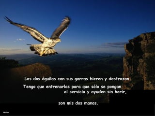 Las dos águilas con sus garras hieren y destrozan.  Tengo que entrenarlas para que sólo se pongan  al servicio y ayuden sin herir,  son mis dos manos.  