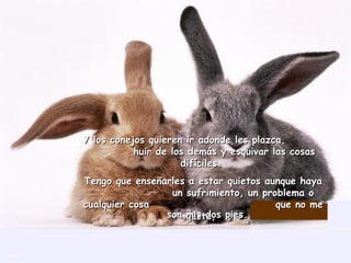 Y los conejos quieren ir adonde les plazca,  huir de los demás y esquivar las cosas difíciles.  Tengo que enseñarles a estar quietos aunque haya  un sufrimiento, un problema o cualquier cosa  que no me gusta,  son mis dos pies. 