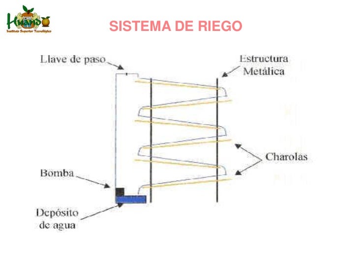 Guia Produccin Intensiva De Forraje Verde   Hydro