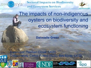 www.ucd.ie/marbee




      The impacts of non-indigenous
         oysters on biodiversity and
             ecosystem functioning

                  Dannielle Green



Supervisor: Tasman Crowe (UCD)
Collaborators: Carlos Rocha (TCD), Bas Boots (UCD)
 