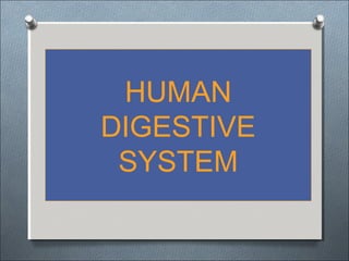 HUMAN
DIGESTIVE
SYSTEM
 