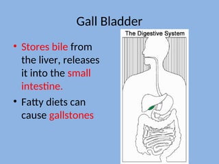 Gall Bladder
• Stores bile from
the liver, releases
it into the small
intestine.
• Fatty diets can
cause gallstones
 