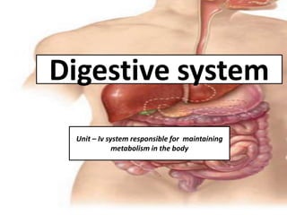 Digestive system
Unit – Iv system responsible for maintaining
metabolism in the body
 