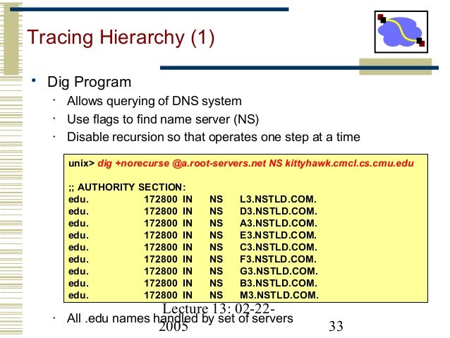13 dns