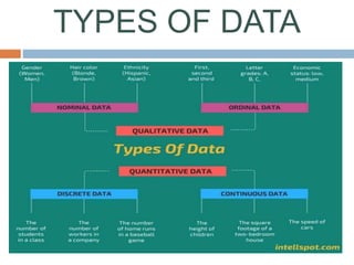 Types of Data | PPT