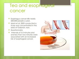 Tea and esophageal
    cancer
   Esophagus cancer kills nearly
    500,000 people a year.
   Islami et al, 2009 conducted a
    study was concentrated in the
    area of Golestan, Iran.
   Questionnaire
    Intervals of 2-3 minutes and
    and less than two minutes were
    associated with an increased
    risk of esophageal cancer.
 