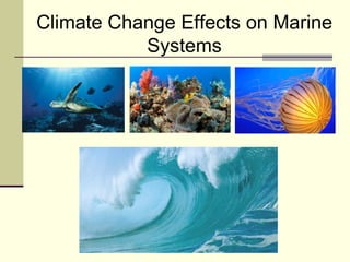 Climate Change Effects on Marine Systems 