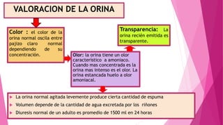 VALORACION DE LA ORINA
 La orina normal agitada levemente produce cierta cantidad de espuma
 Volumen depende de la cantidad de agua excretada por los riñones
 Diuresis normal de un adulto es promedio de 1500 ml en 24 horas
Color : el color de la
orina normal oscila entre
pajizo claro normal
dependiendo de su
concentración.
Transparencia: La
orina recién emitida es
transparente.
Olor: la orina tiene un olor
característico a amoniaco.
Cuando mas concentrada es la
orina mas intenso es el olor. La
orina estancada huelo a olor
amoniacal.
 