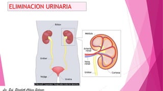 ELIMINACION URINARIA
Lic. Enf. Elizabeth Chávez Salazar
 
