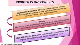 PROBLEMAS MAS COMUNES
Lic. Enf. Elizabeth Chávez Salazar
 