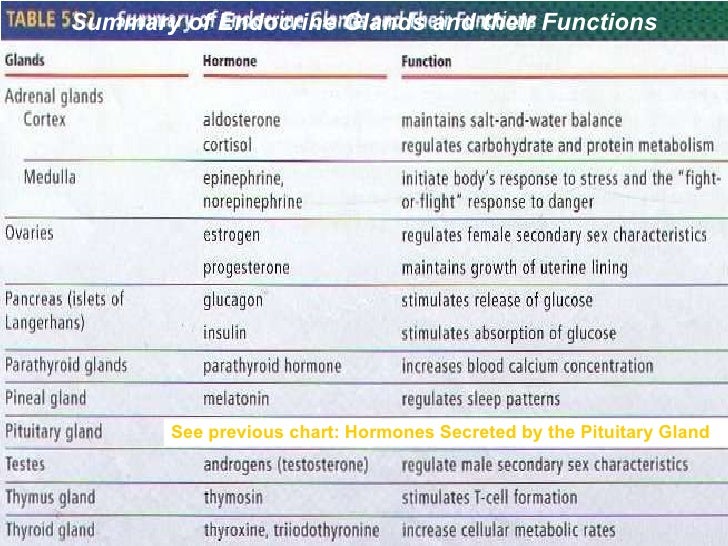 Endocrine System Summary Chart
