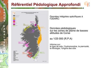 D    Référentiel Pédologique Approfondi
O
N
N
E                      Données intégrées spécifiques à
E                      l’ODARC:
S

D’
A                      Données pédologiques
N                      sur les zones de plaine de basses
                       altitudes de Corse
A
L
Y
                       au 1/25 000 (R.P.A)
S
E                      Informe sur:
                       le type de sols, l’hydromorphie, la pierrosité,
S                      la lithologie, l’origine des sols
 