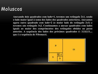 Moluscos
    Anexando dois quadrados com lado=1, teremos um retângulo 2x1, sendo
    o lado maior igual à soma dos lados dos quadrados anteriores. Anexamos
    agora outro quadrado com lado=2 (o maior lado do retângulo 2x1) e
    teremos um retângulo 3x2. Continuamos a anexar quadrados com lados
    iguais ao maior dos comprimentos dos retângulos obtidos no passo
    anterior. A sequência dos lados dos próximos quadrados é: 3,5,8,13,...
    que é a sequência de Fibonacci.
 