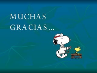 MUCHAS GRACIAS... 