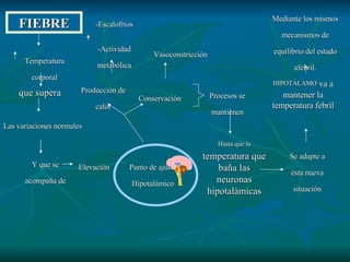 FIEBRE que supera Las variaciones normales Temperatura corporal Y que se acompaña de Punto de ajuste Hipotalàmico Conservación Producción de calor -Escalofríos -Actividad metabólica Vasoconstricción Procesos se mantienen Hasta que la   temperatura que baña las neuronas hipotalàmicas Se adapte a ésta nueva situación HIPOTÁLAMO   va a mantener la temperatura febril Mediante los mismos mecanismos de equilibrio del estado afebril. Elevación  