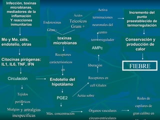 Tejidos periféricos Mialgias  y artralgias inespecíficas Endotoxinas Gram - Ácidos   Teicoicos Gram + Receptores carácterìsisticos  en Máx. concentración Órganos vasculares circunventriculares Redes de capilares de gran calibre en Hipotálamo liberación Actúa sobre Receptores en cell Gliales Activa terminaciones neuronales del centro termorregulador Infección, toxinas microbianas, mediadores de la inflamación Y reacciones inmunitarias Mo y M ø, céls. endotelio, otras Citocinas pirógenas: IL1, IL6, TNF, IFN Circulación Endotelio del hipotálamo PGE2 AMPc Incremento del punto preestablecido de termorregulación Conservación y producción de calor toxinas  microbianas FIEBRE 