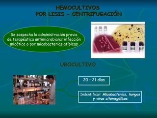 HEMOCULTIVOS  POR LISIS - CENTRIFUGACIÓN Se sospecha la administración previa de terapéutica antimicrobiana: infección micótica o por micobacterias atípicas UROCULTIVO 20 – 21 días Indentificar:  Micobacterias, hongos y virus citomegálicos 