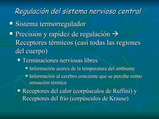 Regulación del sistema nervioso central   Sistema termorregulador  Precisión y rapidez de regulación    Receptores térmicos (casi todas las regiones del cuerpo) Terminaciones nerviosas libres Información acerca de la temperatura del ambiente Información al cerebro conciente que se percibe como sensación térmica  Receptores del calor (corpúsculos de Ruffini) y Receptores del frío (corpúsculos de Krause)  