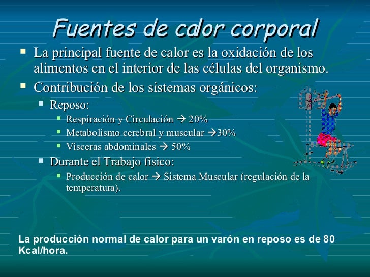 13 Fiebre 13 Fiebre
