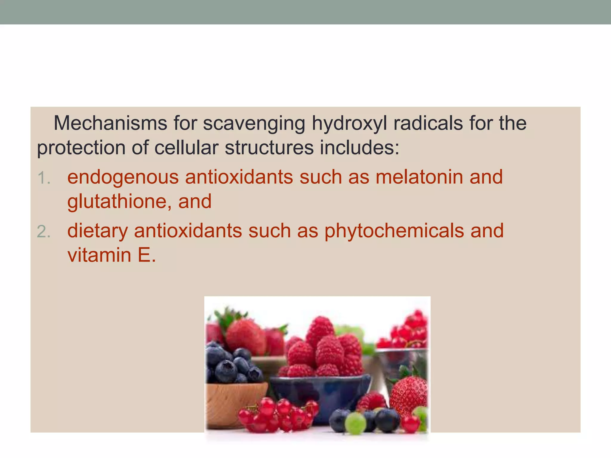13 Free Radicals And Antioxidants PPTX Chemistry Science 13 free radicals and antioxidants pptx chemistry science